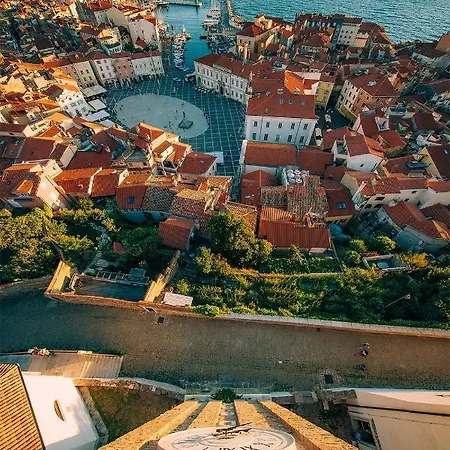 Tantadruj Piran
